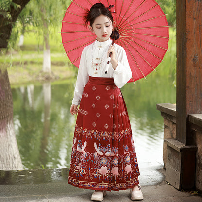 Children’s National Style Hanfu | Big Girls Ming Dynasty Tang Suit Outfit