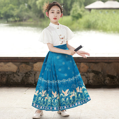 Children’s National Style Hanfu | Big Girls Ming Dynasty Tang Suit Outfit