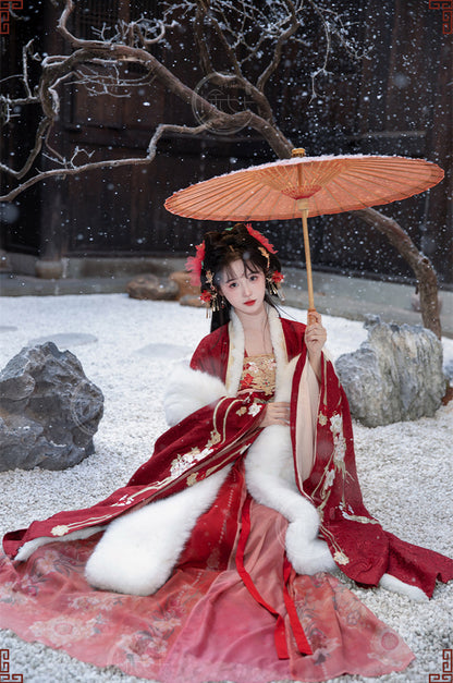 Women's Tang Dynasty Hanfu Winter Embroidered Shirt & Cloak Set