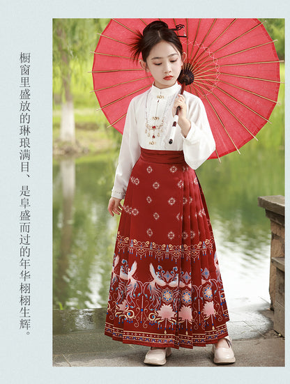 Children’s National Style Hanfu | Big Girls Ming Dynasty Tang Suit Outfit