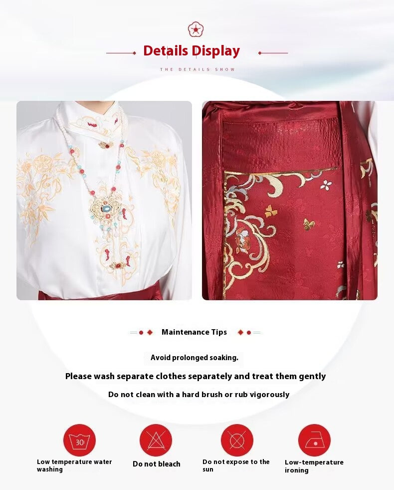 Luxury Ming Style Hanfu — Heavy Embroidery National Aesthetic Set