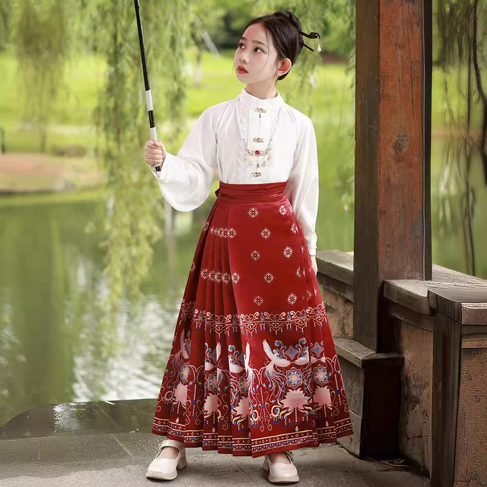 Children’s National Style Hanfu | Big Girls Ming Dynasty Tang Suit Outfit