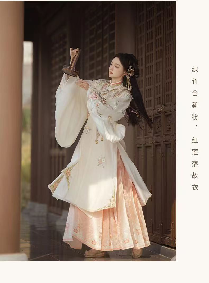 Women Ming Dynasty Hanfu Set Heavy Embroidery Cloud Shoulder Stand Collar Horse Face Skirt