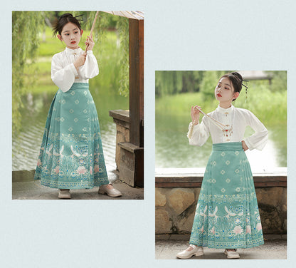 Children’s National Style Hanfu | Big Girls Ming Dynasty Tang Suit Outfit