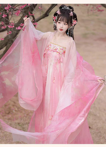 Tang Style Hanfu Set — Embroidered Ru Skirt & Large Sleeve Shirt