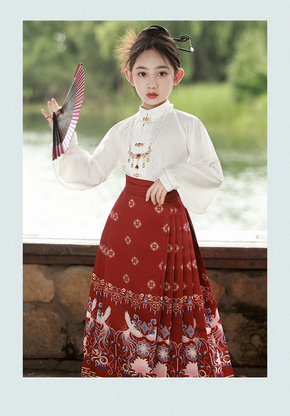 Children’s National Style Hanfu | Big Girls Ming Dynasty Tang Suit Outfit
