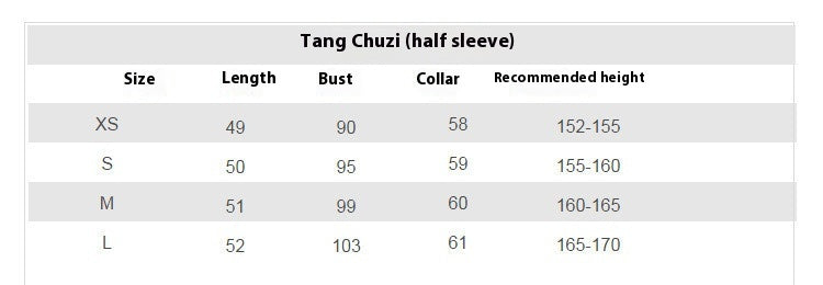 Tang Dynasty Hanfu Set — Beizi Shirt & Eight-Panel Waist Skirt