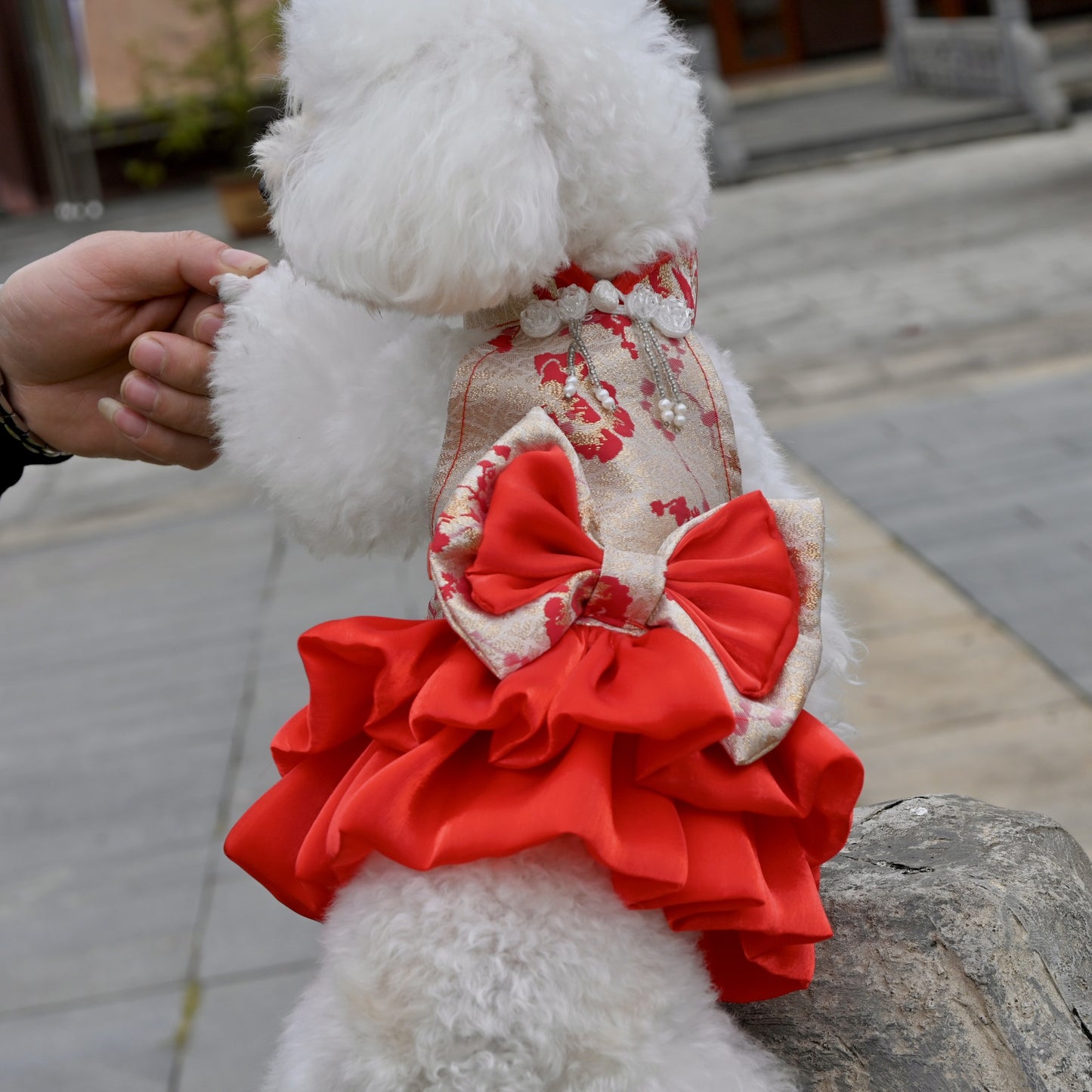 Chinese Style Pet Cheongsam Princess Style Tang Suit Dog Cat Dress Teddy Bichon Clothes