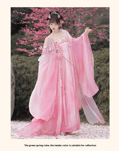 Tang Style Hanfu Set — Embroidered Ru Skirt & Large Sleeve Shirt