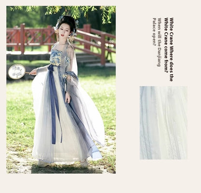 Fairy Hanfu Costume — Hibiscus Embroidered Shirt & Flowing Skirt Outfit