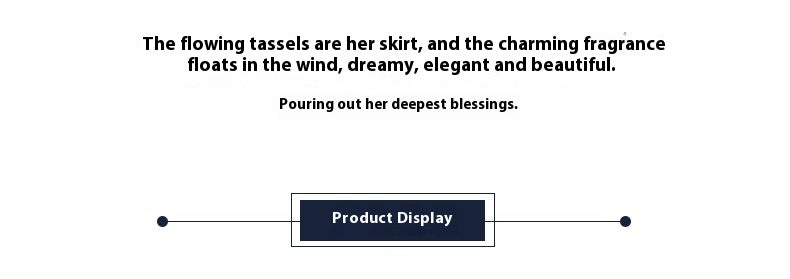 Super Fairy Hairpin Ancient Costume National Style Hanfu Hair Accessory