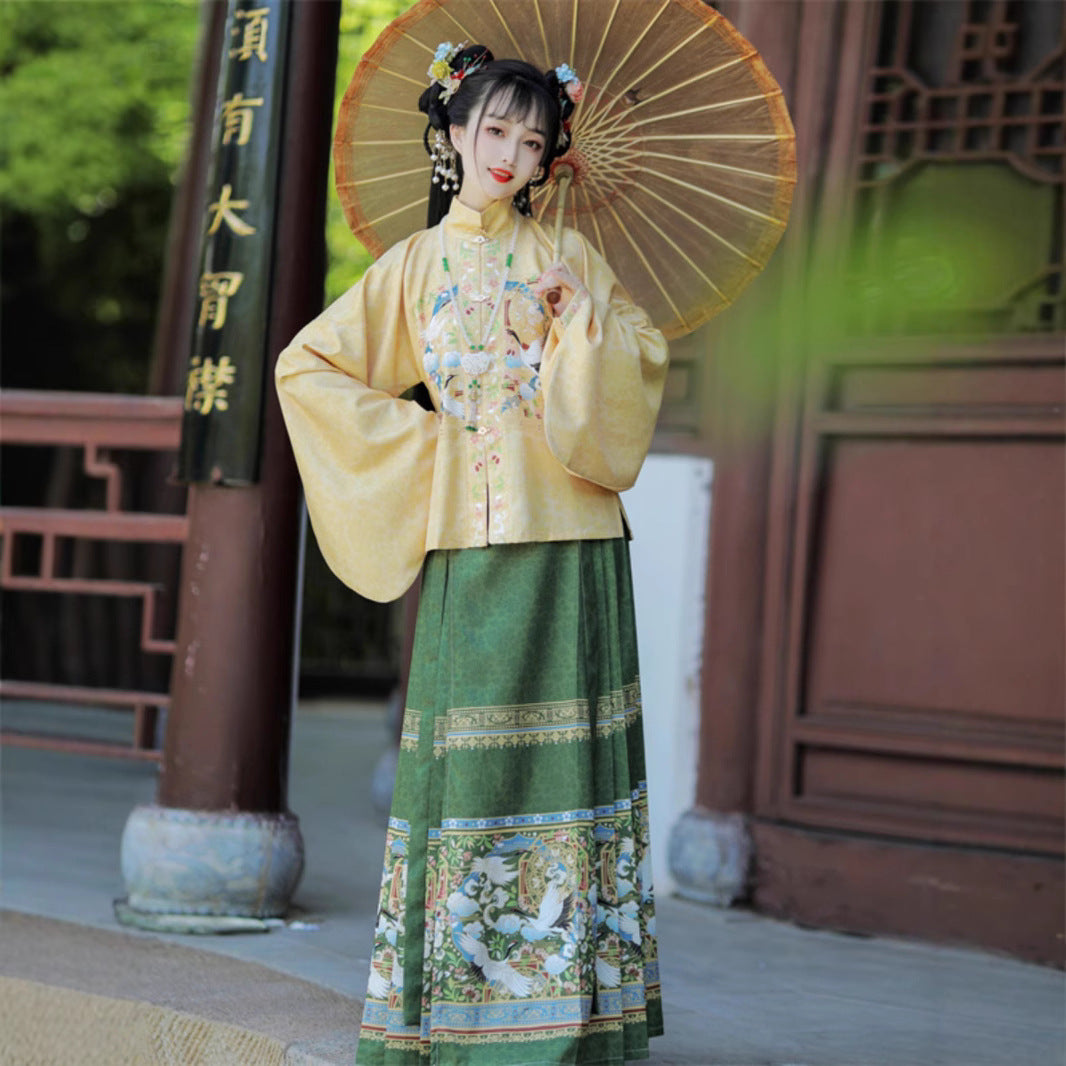Trees of Sea Women Ming Hanfu Set: Embroidered Stand Collar Jacket & Horse Face Skirt New Year